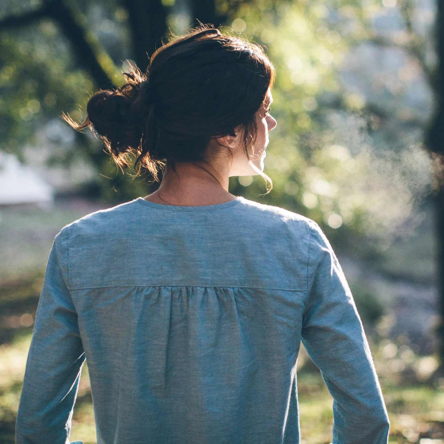 None The Parker In Chambray - Image 6