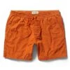 The Apres Short In Rust Pinwale