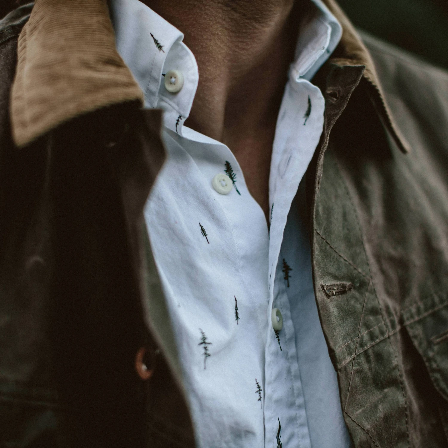 The Short Sleeve Jack In Tree Top Poplin - Image 6