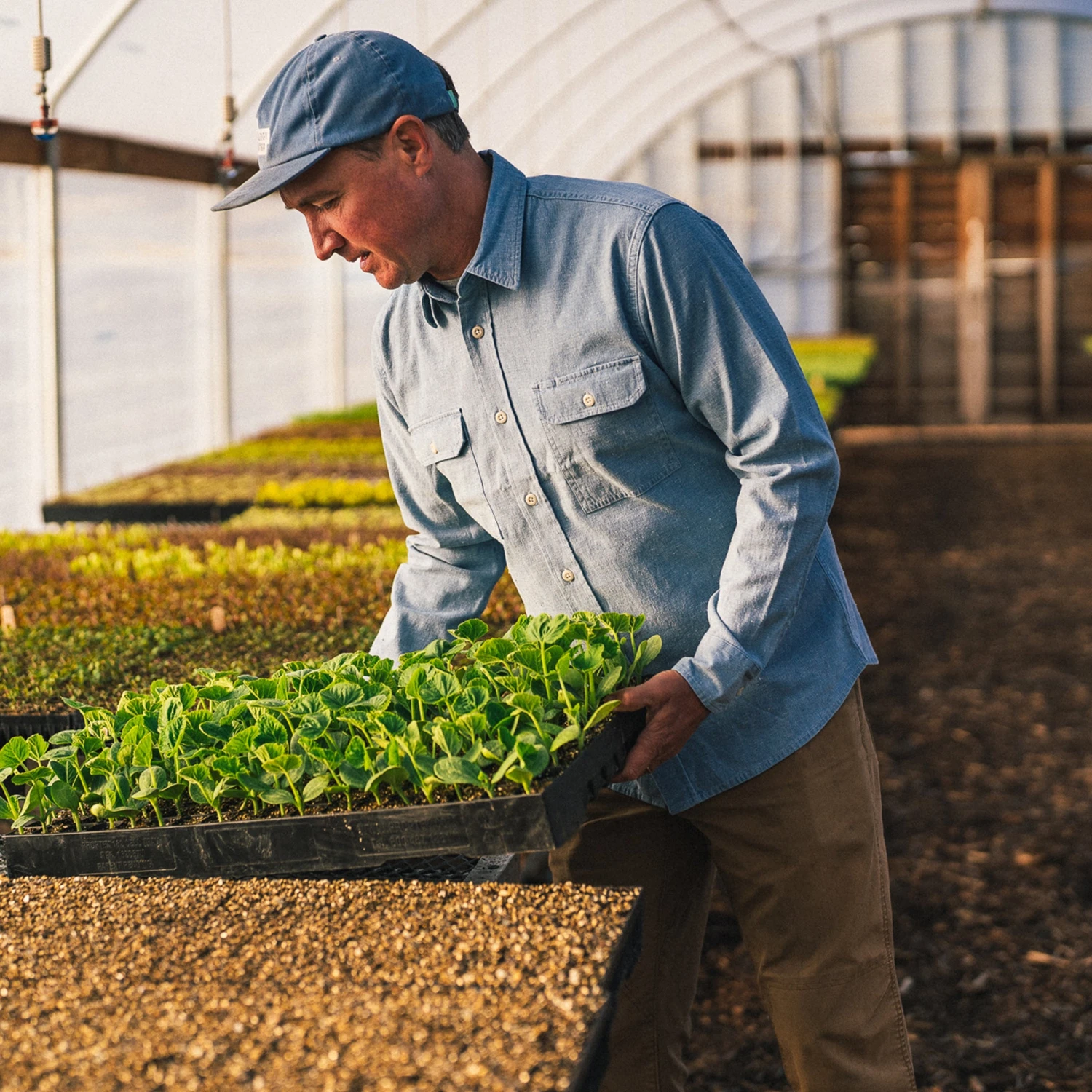 The Chore Shirt In Washed Indigo Boss Duck - Image 2